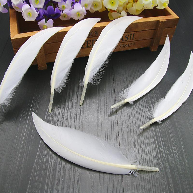 50Pcsdiy Scimitar Feather Colored Feather Handicrafts Jewelry Accessories Material Feather