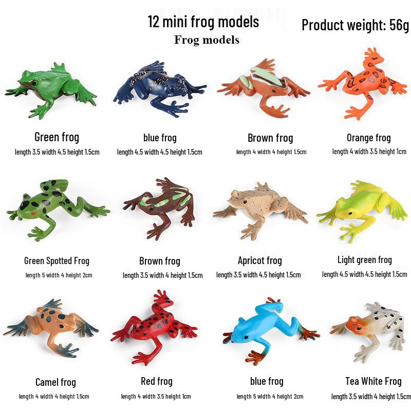 Children's Cognitive Marine Animal Models: Sea Turtle and Tortoise Toys