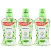 Jasmine Green Tea Mouthwash 3-Pack