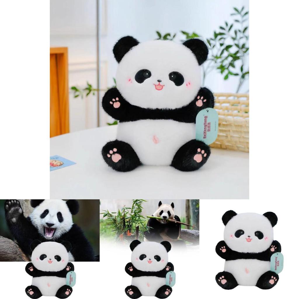 Adorable 8 Inch Panda Plush Toy Ideal For Promotions And Event Giveaways