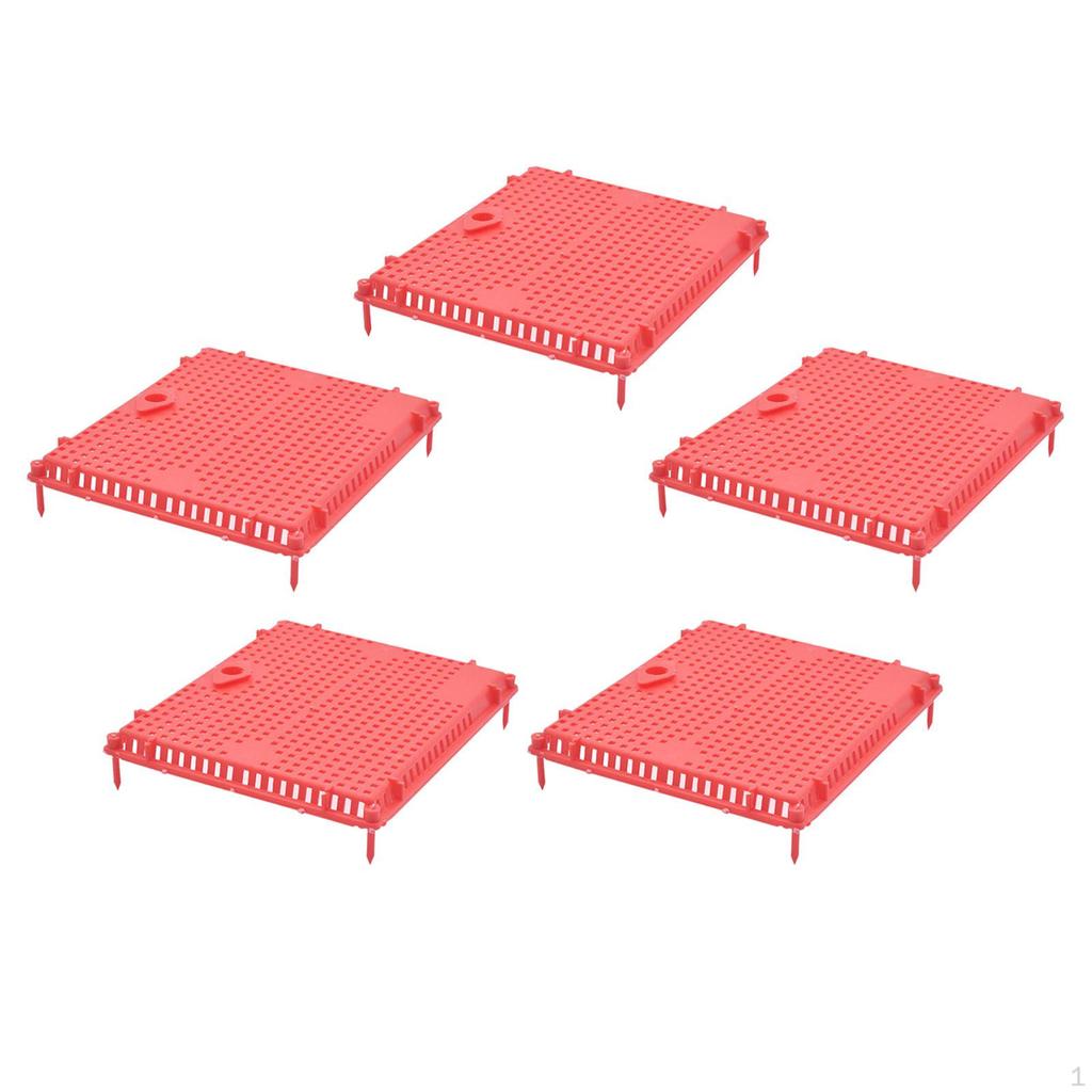 Isolator Introducing Cage Plastic Equipment Reusable Beekeeping