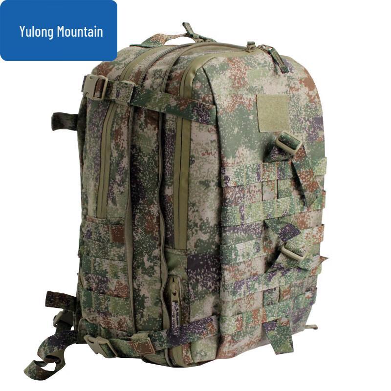 Yulongshan Tactical Assault Backpack