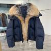 Golden Island fox fox fur big fur collar goose down jacket short down jacket women's loose and thickened winter new coat tide