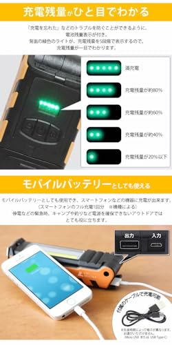 Radweather LED Work Light, 2-Way Lighting, Foldable, Rechargeable Battery, Lightweight, Camping, Outdoor Work Light, Flashlight (Khaki)