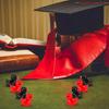 100/50 Stück Kleine Enten Rot Schwarz Mini Harz Entenfiguren Für Abschlussfeier Spielzeug Aquarium Topf Dekoration Anhänger Basteln DIY Dekoration