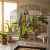 Parrot Chew Toy with Acrylic Spinning Ball_Chain Bird Cage Hanging Toy with Hook for Small Medium Birds
