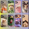 Huse pentru telefoane – Huse tip bumper pentru telefon