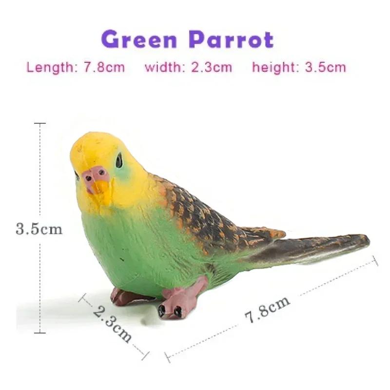 Miniature Parrot Statue PVC Bird Figurine for Home Garden Decoration Crafts Animal Decor Mini Model