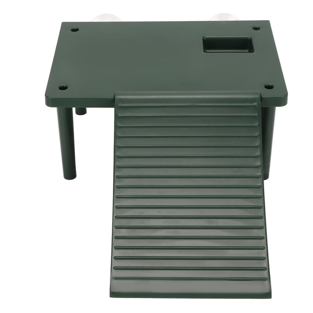 Turtle Basking Platform Exercise Climbing Ability Tortoise Resting Terrace with Climbing Ladder