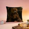 Fashion PPaddington Beared Cushion Cover Premium SkinFriendly Pillow Case MultiPurpose for Home Office Travel