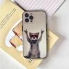 Funny Cute Raccoon Phone Case Phone Case For iPhone 16,15,14,13,12,11,Pro,X,XS,Max,XR,Plus,Mini Soft Black Cover
