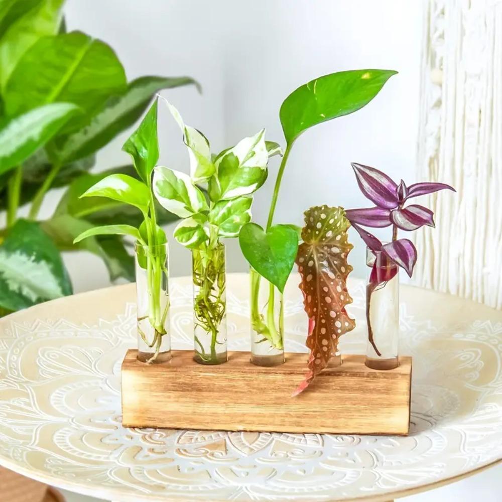 3/4/5 Test Test Tube Vases Wooden Stand Glass Tube Vases Hydroponic Plants Container Home Decor