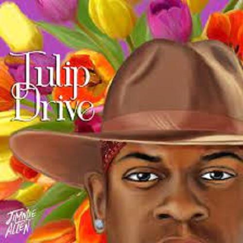 

CD JIMMIE ALLEN - Tulip Drive 538818722 Stoney Creek Re 2022 US Country Used