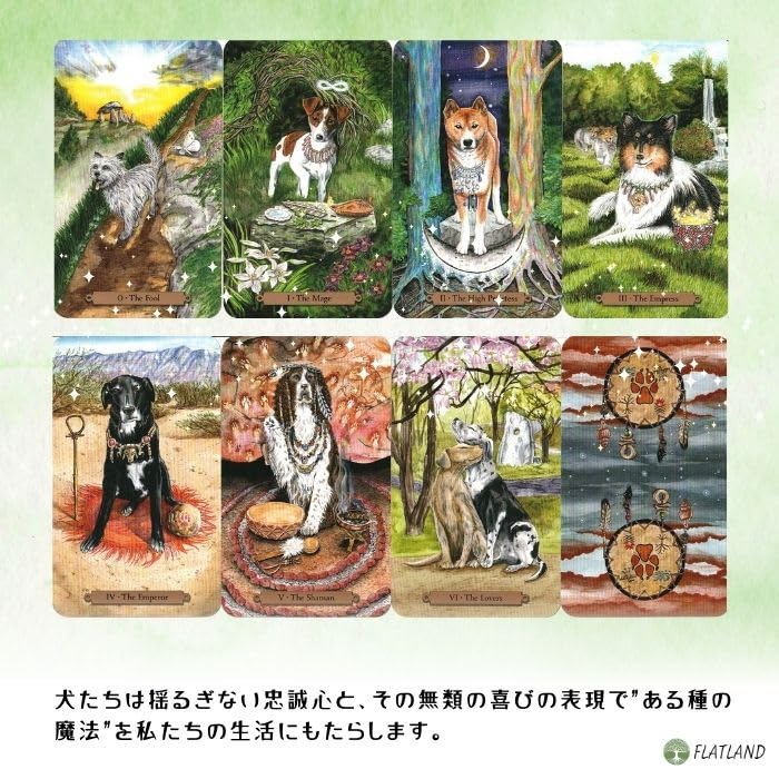 Magical Dogs Tarot, Tarot Reading Instructions, Japanese Instruction Manual Included, Authentic Tarot Cards, 78 Dog Cards