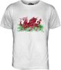 Wales Distressed Flag Mens T Shirt Top T-Shirt
