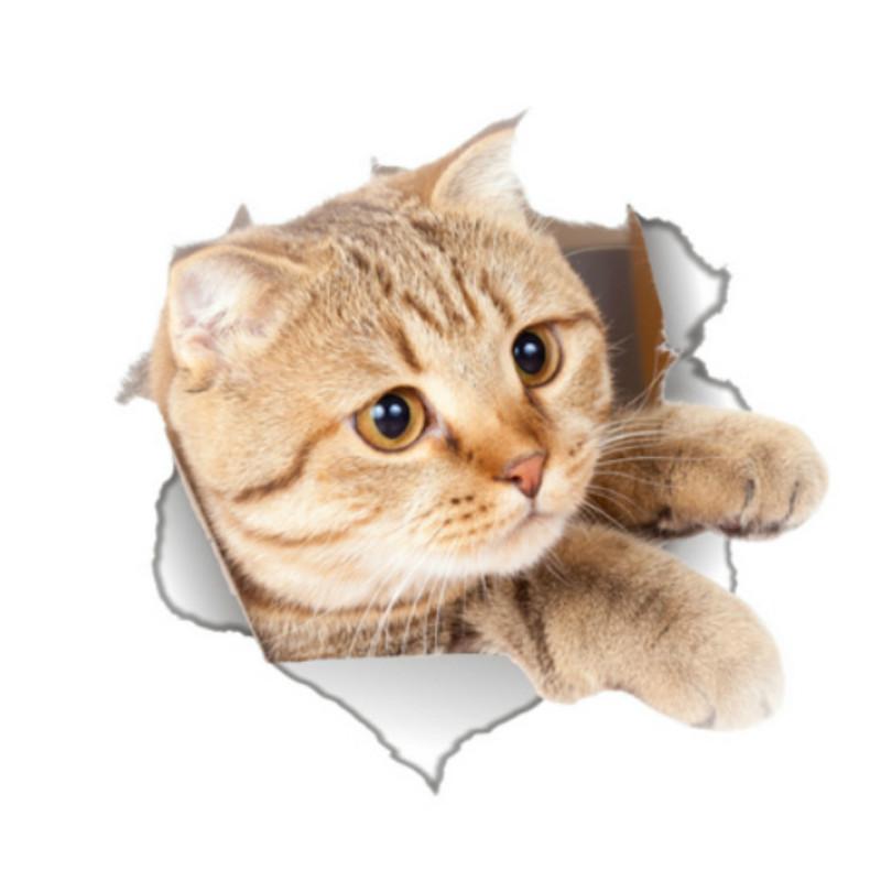 

3d трехмерное украшение для сломанной стены с котенком, крышка для унитаза, наклейка для унитаза, наклейка для ноутбука, наклейка на стену