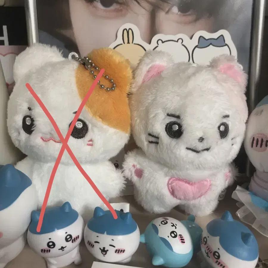 Contory Sell Sung Han-bin Doll Sell