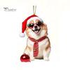 Lightweight Acrylic Dog Hanging Ornament Crown Keychain, 2D Flat Backpack Cute Pet Key Ring for Friends Charm, Animal with Lanyard Charm Handbags
