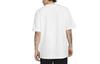 Nike Acg Logo T shirt DJ3644-121