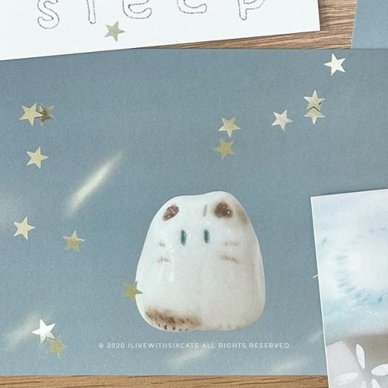 I Live With Six Cats Postcard 3rd 4 Types, Choose 1, a Popular Phrase In Korea