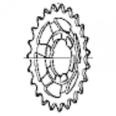 SHIMANO 22t Gear  Black  2.3mm Y73t22230