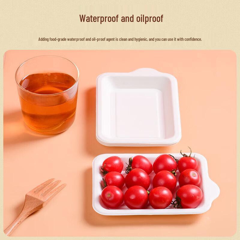 Einwegteller aus quadratischem Zuckerrohrzellstoff