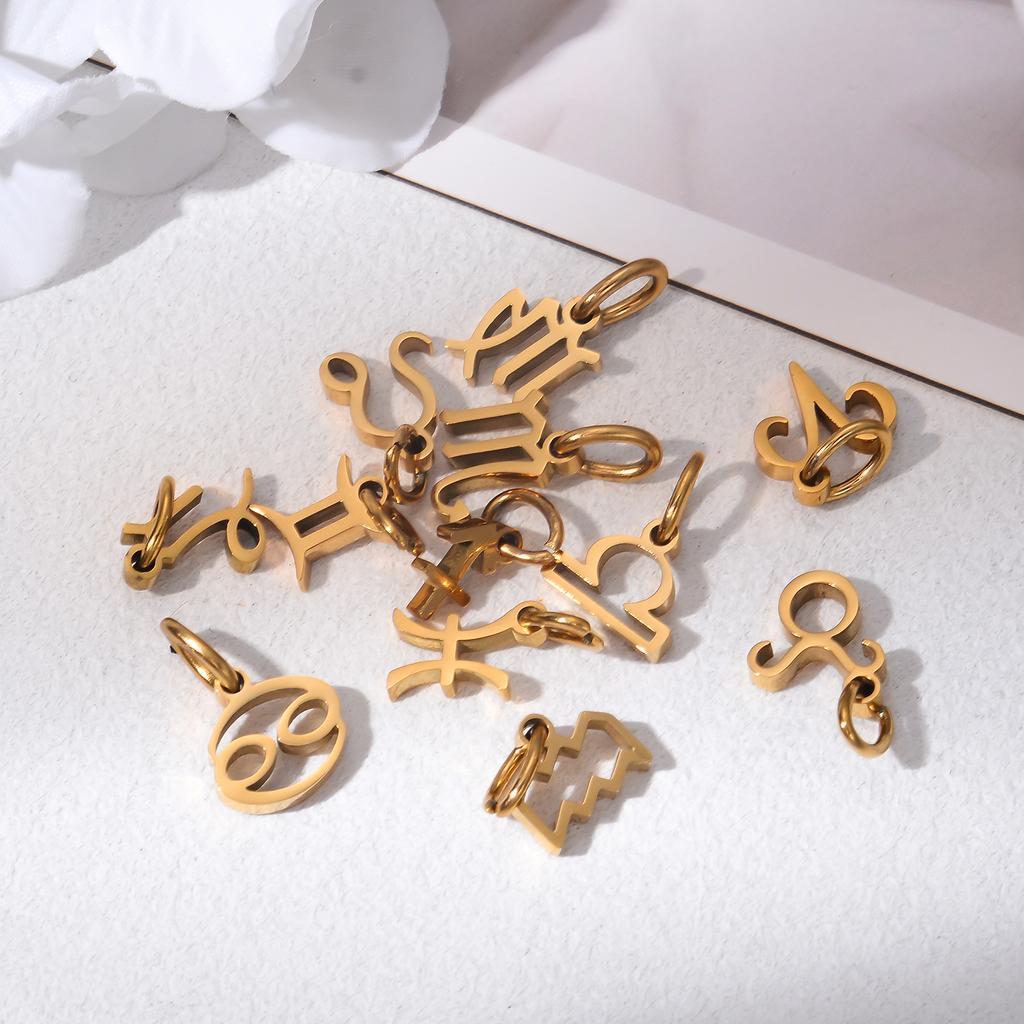 Wholesale 6pcs/lot 12 Constellation Zodiac Charm Pendant Stainless Steel High Quality DIY Jewelry Making Accessories