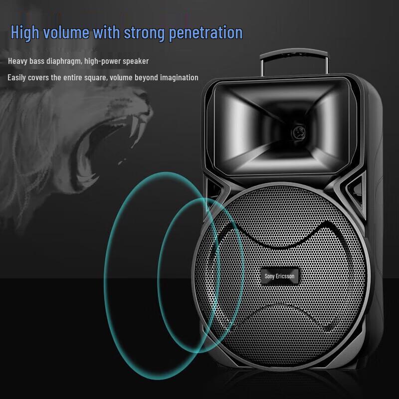Suoai 12-inch High Power Portable Karaoke Trolley Speaker