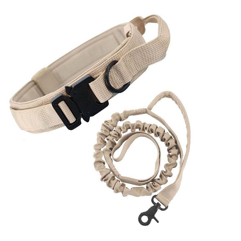 Heavy-Duty Dog Leash and Collar for Medium and Large Dogs