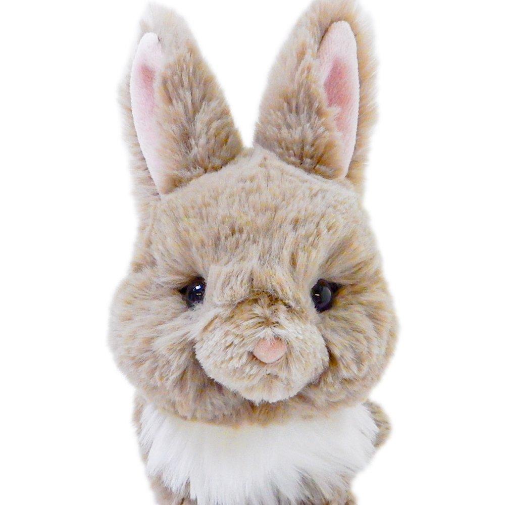 Sunlemon Lapinu Mini Rex X X Cm Stuffed Animal Rabbit 14.6 5.8 15.4 P-4542