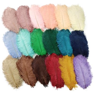 10 pz /Lotto Piume di Struzzo Colorate Per Artigianato Decorazione Matrimonio Accessori Artigianali Centrotavola Carnevale Plumas Decor