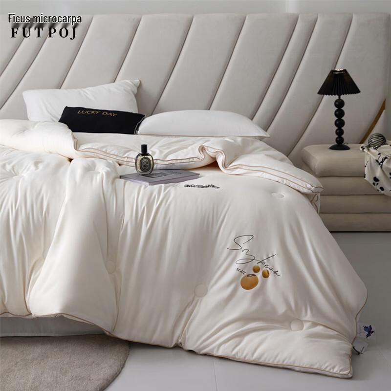 Yiyiai Soybean Protein Winter Quilt