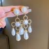 Zinc Alloy Needle Water Drop Pearl Flower Tassel Earrings for Women French Vintage Palace Style Drop Earrings Vintage Zircon