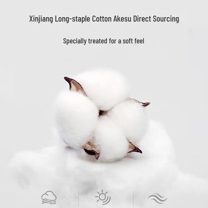 Can Hua Niang Niang 100% Mulberry Silk All-Season Quilt