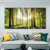 Moderní les Zelený strom Příroda Krajina Plakáty a obrazy Nástěnné malby na plátně Obraz do obývacího pokoje Cuadros Home Decor Bez rámu
