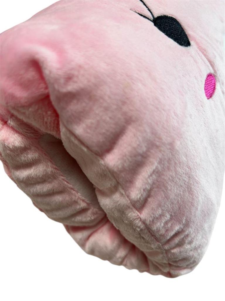 [GEBRAUCHT] Ein niedliches Armkissen aus dem koreanischen Drama "Weak Hero" Ahn Soo-ho (Choi Hyun-wook)