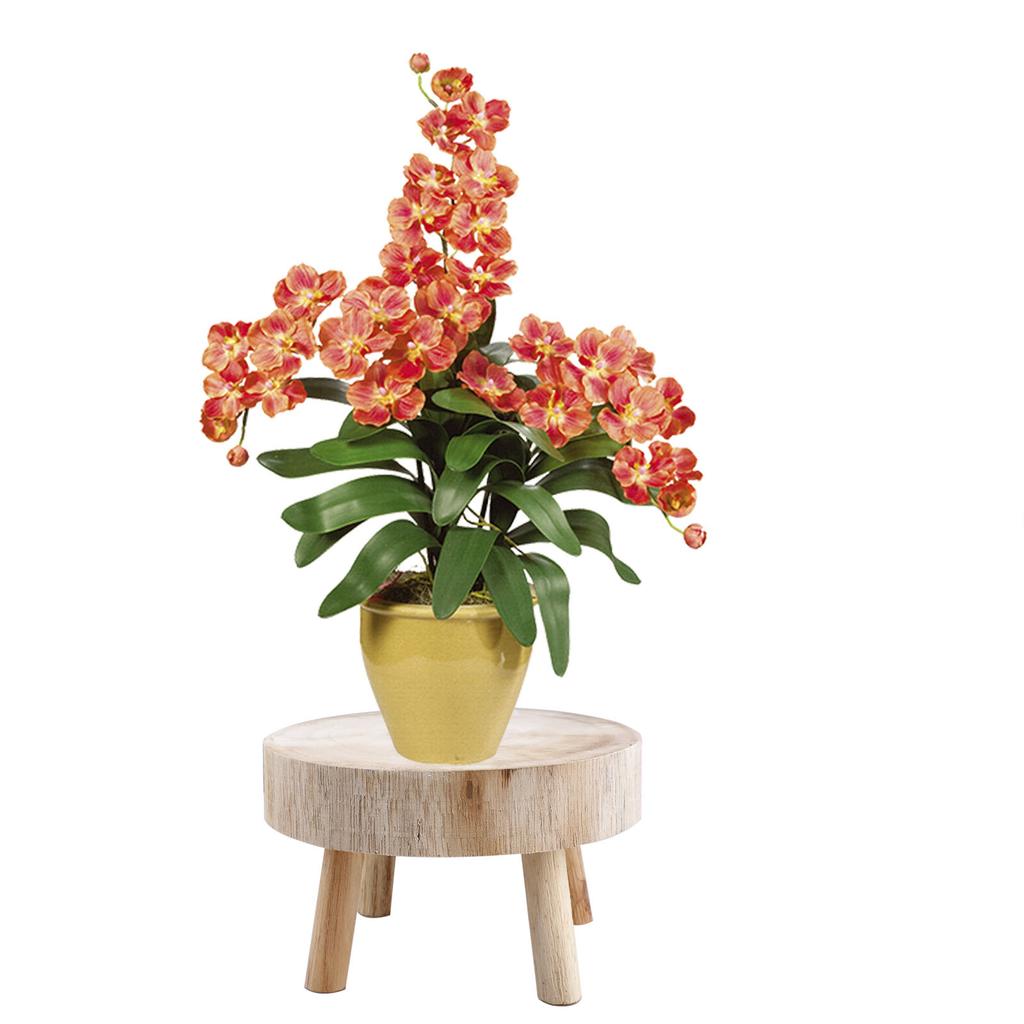 Wooden Flower Stand Stool Round Wooden Riser with 2.4in Leg Height Unpainted Finish S