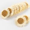 5/10/20pcs Sunflower & Daisy Craft Embellishments White & Beige DIY Decor Accessories for Beach Hats Clothing Curtains Ties