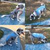 Gilet rafraîchissant d'été pour chien, veste réfléchissante pour animaux de compagnie, manteau respirant, vêtements pour chiots
