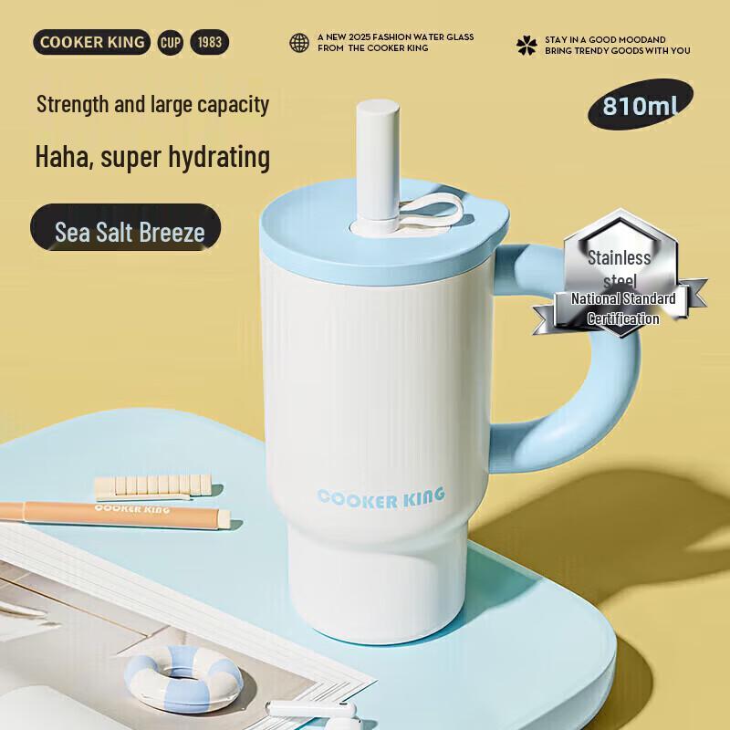 COOKER KING Qinguo 810ml Insulated Straw Tumbler
