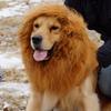 Lion Mane Halloween Wig for Dogs - Pet Headgear Costume Accessory