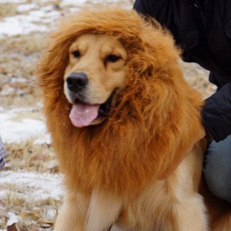 Lion Mane Halloween Wig for Dogs - Pet Headgear Costume Accessory