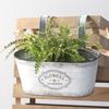 Hanging Flowers Succulents Plant Pots Iron Wall Mounted Indoor Outdoor Garden Decorations Metal Bucket Flowers Basket