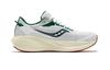 Saucony Triumph 21 Abrasion Resistant Breathable Low Top Training - S20881-136