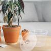 2 Set Clear Orchid Pots With Holes Small Nursing Pot Garden Flower Pot Plastic Plant Containers Indoor Outdoor Use