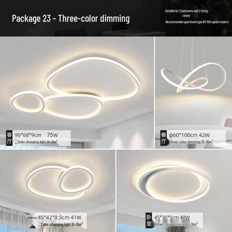 OEING Modern Minimalist LED Ceiling Lamp