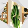 Home Decor Artificial Fruit Foam Vegetable Corn Pepper Garlic Hanging Photo Prop