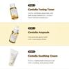SKIN1004 Centella Travel Kit Toner Ampoule Foam Point Remover Soothing Cream