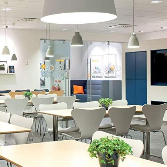 Explux LED Bulbs, E26 Base, Reflector Type, 100W Equivalent, Dimmable, Daylight White, 1300lm, 120-Degree Downward Beam, Wide Beam Distribution,