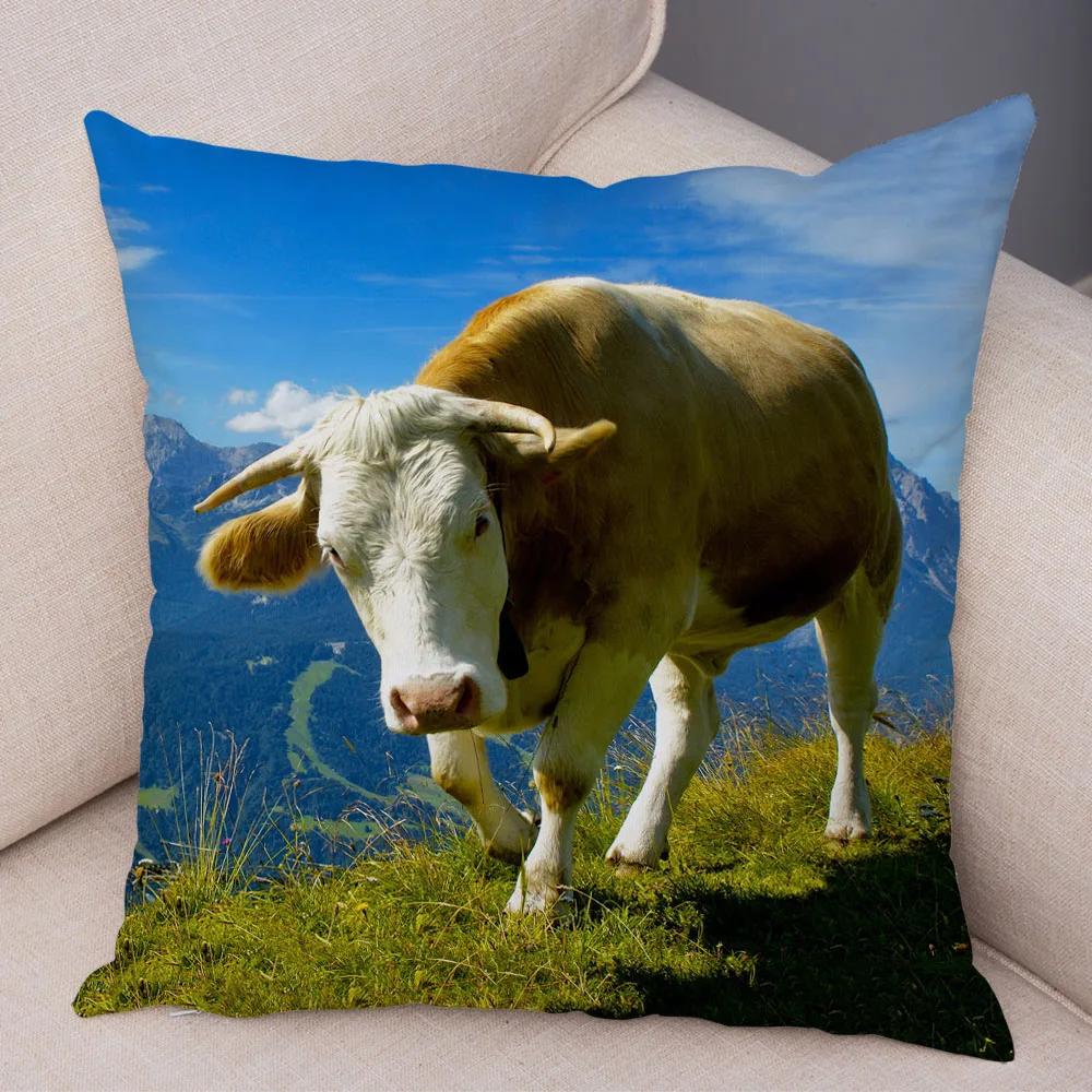 Scotland Kyloe Pillow Case Decor Wild Cow Colorful Animal Print Pillowcase Soft Short Plush Cushion Cover for Home Sofa 45x45cm